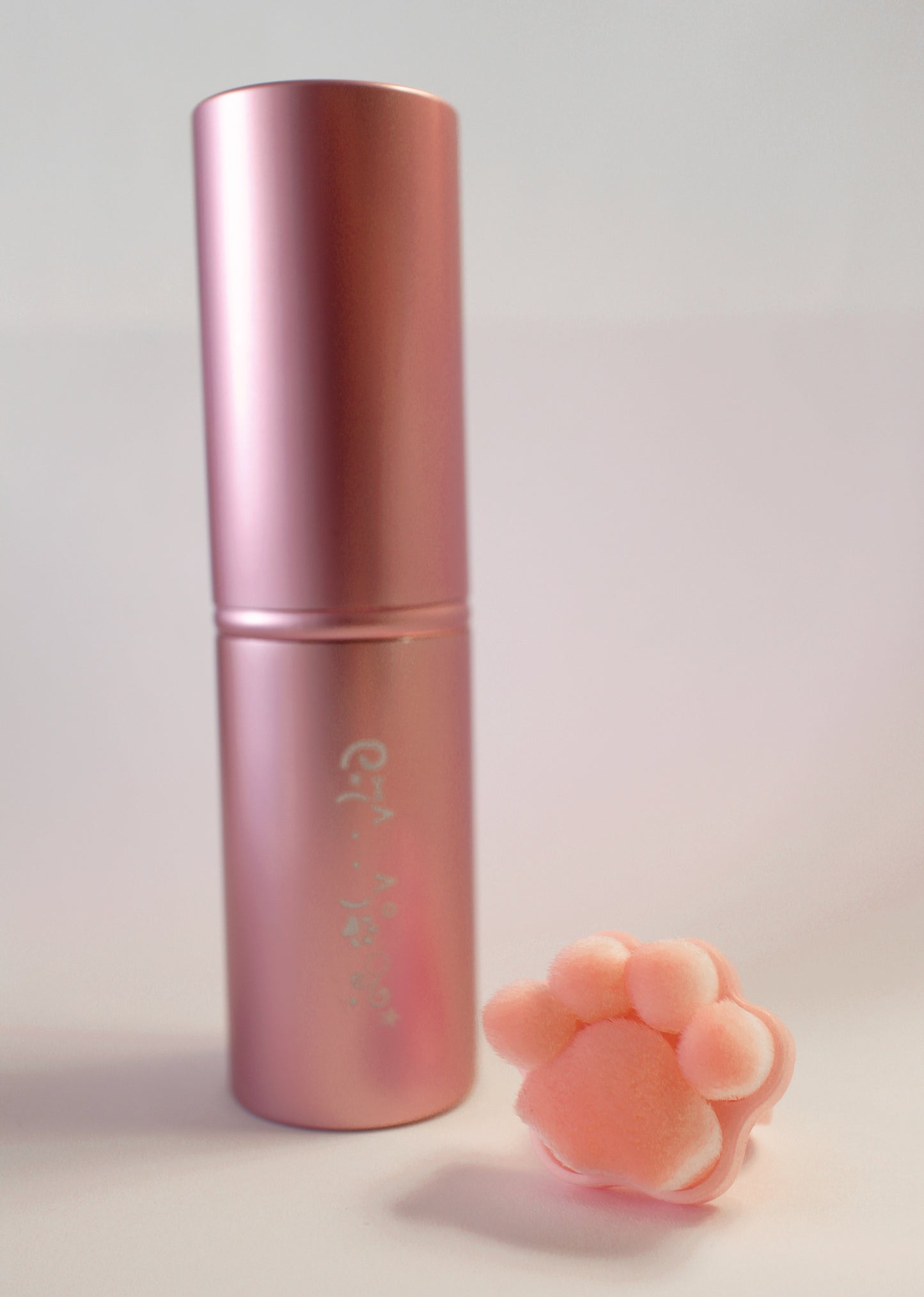 Kabuki Paw Brush bundle - Pink 🐾